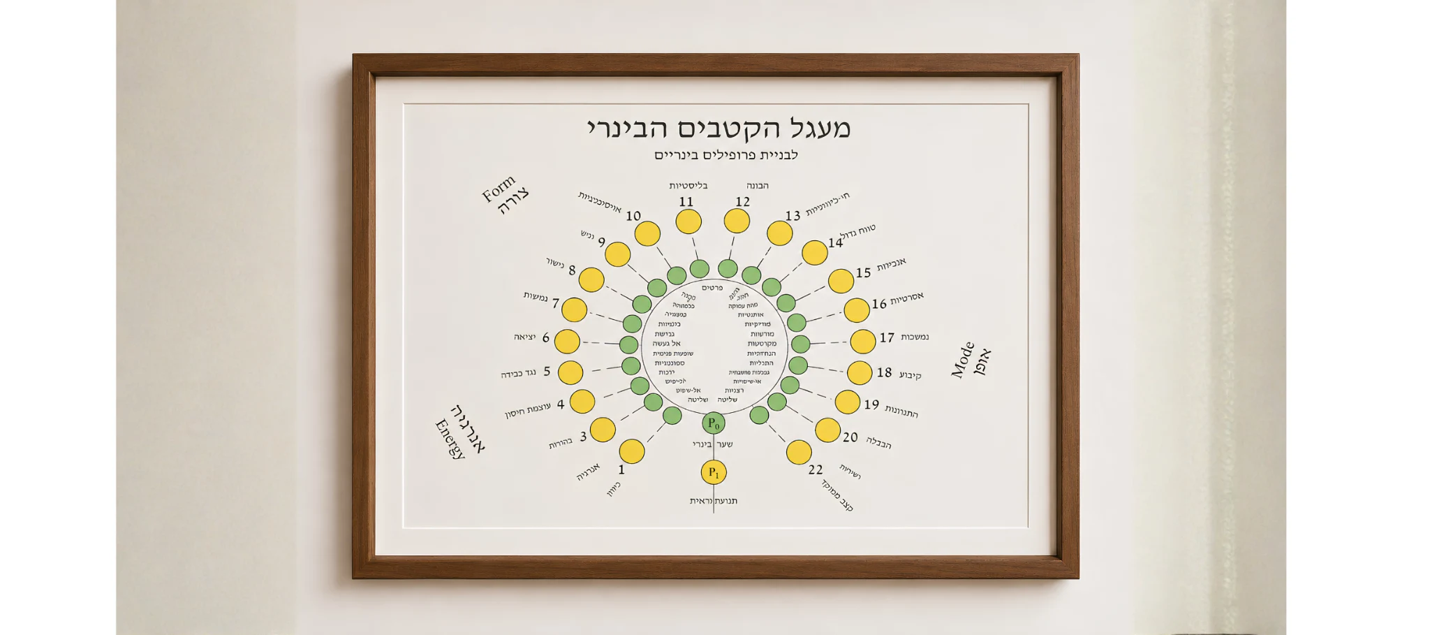 הפרופיל התנועתי / פיתחה יונה שחר לוי